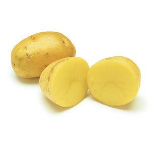 Yukon gold potato